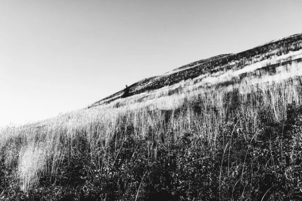 Polonya 'daki Bieszczady Dağları' ndaki Carynska Polonyna 'dan görüntü