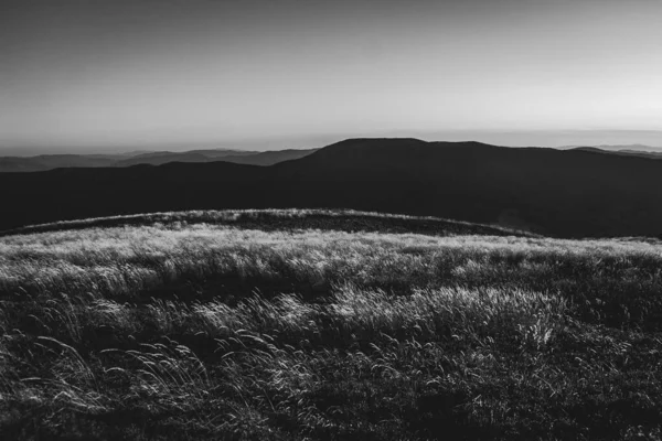 Polonya 'daki Bieszczady Dağları' ndaki Carynska Polonyna 'dan görüntü
