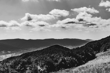 Mieczysaw Orlowicz Geçidi 'nden Polonya' daki Bieszczady Dağları 'ndaki Smerek Tepesine giden yol.