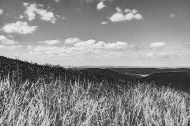 Mieczysaw Orlowicz Geçidi 'nden Polonya' daki Bieszczady Dağları 'ndaki Smerek Tepesine giden yol.