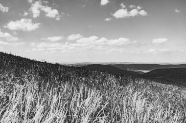 Mieczysaw Orlowicz Geçidi 'nden Polonya' daki Bieszczady Dağları 'ndaki Smerek Tepesine giden yol.