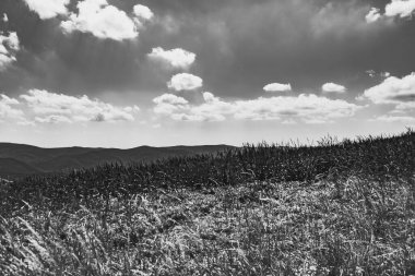 Mieczysaw Orlowicz Geçidi 'nden Polonya' daki Bieszczady Dağları 'ndaki Smerek Tepesine giden yol.