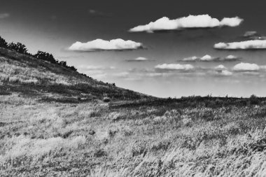 Mieczysaw Orlowicz Geçidi 'nden Polonya' daki Bieszczady Dağları 'ndaki Smerek Tepesine giden yol.