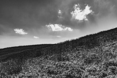 Mieczysaw Orowicz Geçidi 'nden Polonya' daki Bieszczady Dağları 'ndaki Smerek Tepesine giden yol.