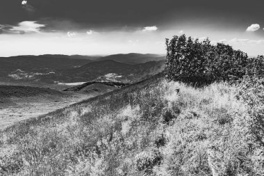 Mieczysaw Orowicz Geçidi 'nden Polonya' daki Bieszczady Dağları 'ndaki Smerek Tepesine giden yol.