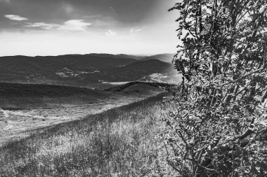 Mieczysaw Orowicz Geçidi 'nden Polonya' daki Bieszczady Dağları 'ndaki Smerek Tepesine giden yol.