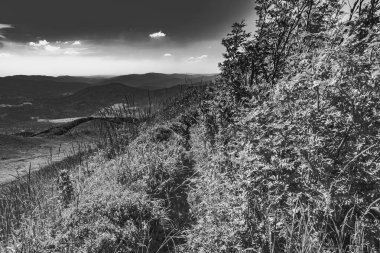 Mieczysaw Orowicz Geçidi 'nden Polonya' daki Bieszczady Dağları 'ndaki Smerek Tepesine giden yol.