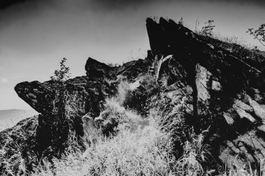 Mieczysaw Orowicz Geçidi 'nden Polonya' daki Bieszczady Dağları 'ndaki Smerek Tepesine giden yol.