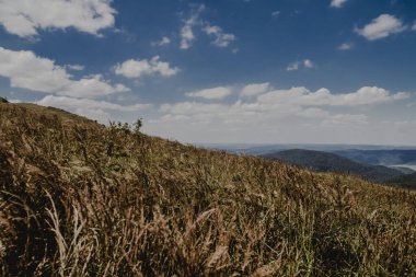 Mieczysaw Orowicz Geçidi 'nden Polonya' daki Bieszczady Dağları 'ndaki Smerek Tepesine giden yol.