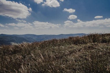 Mieczysaw Orowicz Geçidi 'nden Polonya' daki Bieszczady Dağları 'ndaki Smerek Tepesine giden yol.