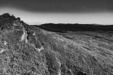 Mieczysaw Orowicz Geçidi 'nden Polonya' daki Bieszczady Dağları 'ndaki Smerek Tepesine giden yol.