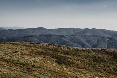 Mieczysaw Orowicz Geçidi 'nden Polonya' daki Bieszczady Dağları 'ndaki Smerek Tepesine giden yol.