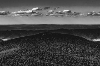 Mieczysaw Orowicz Geçidi 'nden Polonya' daki Bieszczady Dağları 'ndaki Smerek Tepesine giden yol.