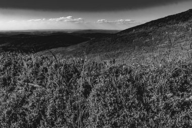 Mieczysaw Orowicz Geçidi 'nden Polonya' daki Bieszczady Dağları 'ndaki Smerek Tepesine giden yol.