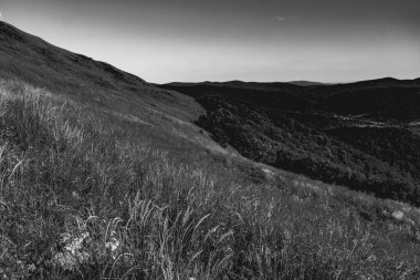 Mieczysaw Orowicz Geçidi 'nden Polonya' daki Bieszczady Dağları 'ndaki Smerek Tepesine giden yol.
