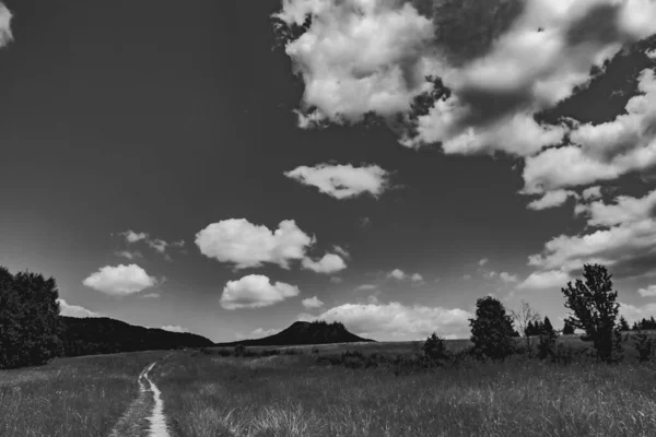 Mieczysaw Orlowicz Geçidi 'nden Polonya' daki Bieszczady Dağları 'ndaki Smerek Tepesine giden yol.