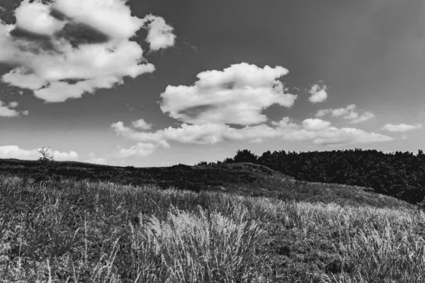 Mieczysaw Orlowicz Geçidi 'nden Polonya' daki Bieszczady Dağları 'ndaki Smerek Tepesine giden yol.