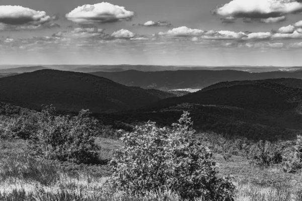 Estrada Mieczysaw Orlowicz Pass Para Smerek Peak Nas Montanhas Bieszczady — Fotografia de Stock