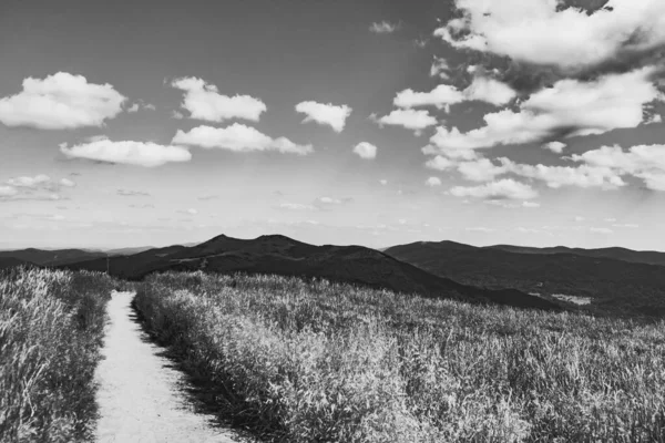 Strada Mieczysaw Orlowicz Pass Smerek Peak Nelle Montagne Bieszczady Polonia — Foto Stock