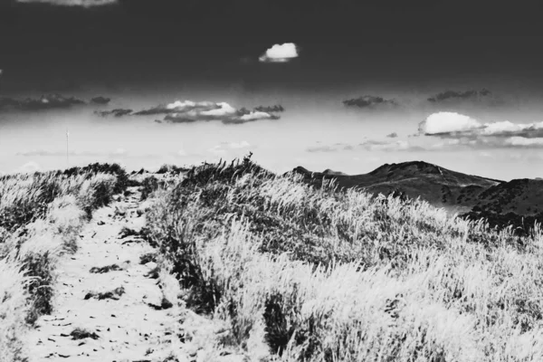 Mieczysaw Orlowicz Geçidi 'nden Polonya' daki Bieszczady Dağları 'ndaki Smerek Tepesine giden yol.