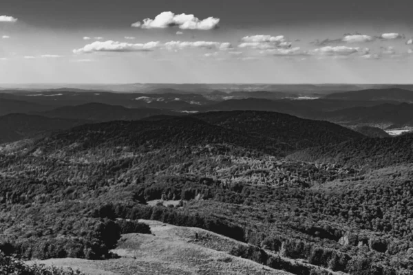 Cesta Průsmyku Mieczysaw Orowicz Smerek Peak Pohoří Bieszczady Polsku — Stock fotografie