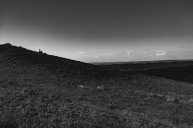 Polonya 'daki Bieszczady Dağlarında Wetlinska Polonyna