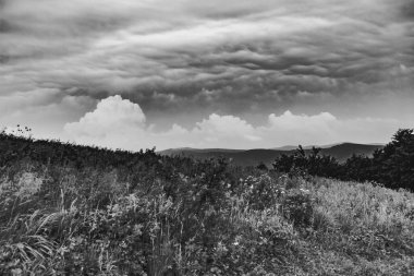 Polonya 'daki Bieszczady Dağlarında Wetlinska Polonyna