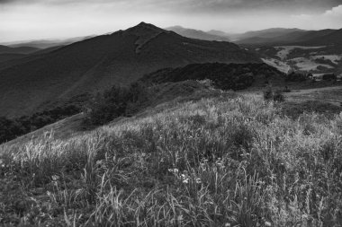 Polonya 'daki Bieszczady Dağlarında Wetlinska Polonyna