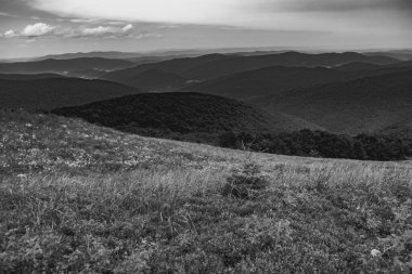 Polonya 'daki Bieszczady Dağlarında Wetlinska Polonyna