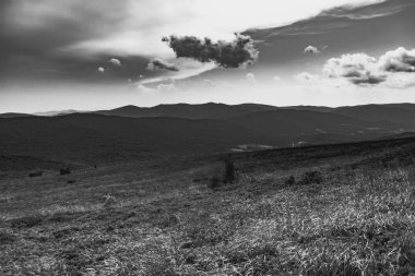 Polonya 'daki Bieszczady Dağlarında Wetlinska Polonyna
