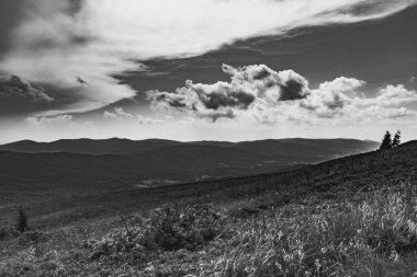 Polonya 'daki Bieszczady Dağlarında Wetlinska Polonyna