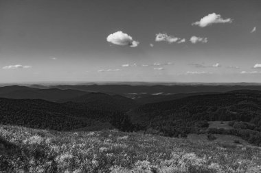 Polonya 'daki Bieszczady Dağlarında Wetlinska Polonyna