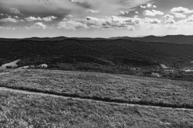 Polonya 'daki Bieszczady Dağlarında Wetlinska Polonyna