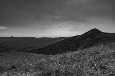 Polonya 'daki Bieszczady Dağlarında Wetlinska Polonyna