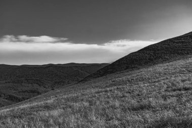 Polonya 'daki Bieszczady Dağlarında Wetlinska Polonyna