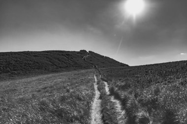 Polonya 'daki Bieszczady Dağlarında Wetlinska Polonyna