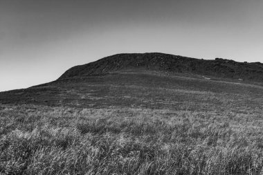 Polonya 'daki Bieszczady Dağlarında Wetlinska Polonyna