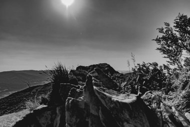 Polonya 'daki Bieszczady Dağlarında Wetlinska Polonyna