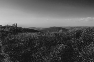 Polonya 'daki Bieszczady Dağlarında Wetlinska Polonyna