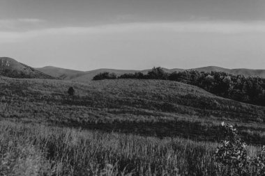 Polonya 'daki Bieszczady Dağlarında Wetlinska Polonyna