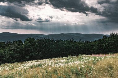 Polonya 'daki Bieszczady Dağlarında Wetlinska Polonyna
