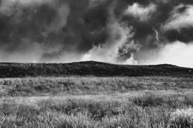 Polonya 'daki Bieszczady Dağlarında Wetlinska Polonyna