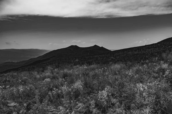 Wetlinska Polonyna Nelle Montagne Bieszczady Polonia — Foto Stock