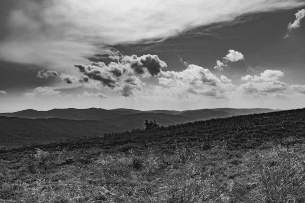 Wetlinska Polonyna Στα Βουνά Bieszczady Στην Πολωνία — Φωτογραφία Αρχείου