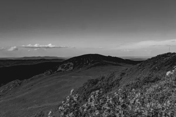 Polonya 'daki Bieszczady Dağlarında Wetlinska Polonyna