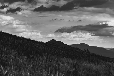 Polonya 'daki Bieszczady Dağlarında Wetlinska Polonyna