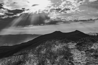 Polonya 'daki Bieszczady Dağlarında Wetlinska Polonyna
