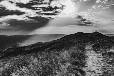 Polonya 'daki Bieszczady Dağlarında Wetlinska Polonyna