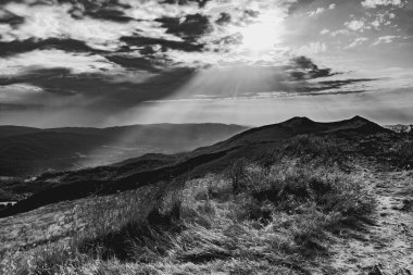 Polonya 'daki Bieszczady Dağlarında Wetlinska Polonyna