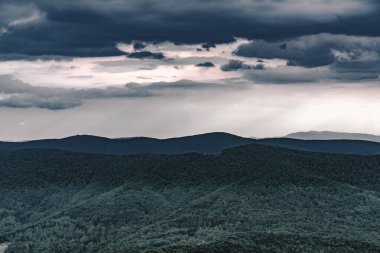 Polonya 'daki Bieszczady Dağlarında Wetlinska Polonyna